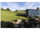 406 Back Road, Wilmot TAS 7310