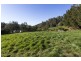 406 Back Road, Wilmot TAS 7310
