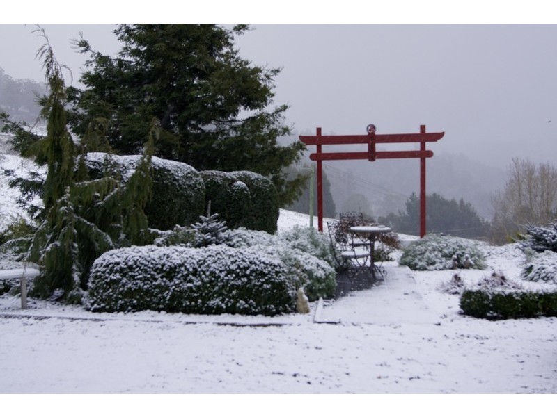 406 Back Road, Wilmot TAS 7310