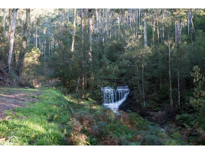 Chasm Creek TAS 7321