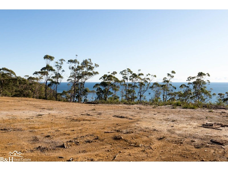 Chasm Creek TAS 7321