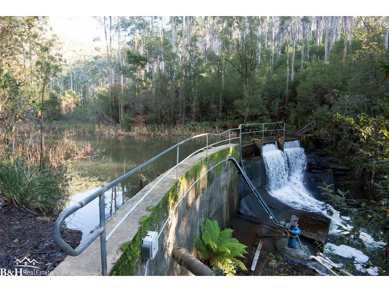 Chasm Creek TAS 7321