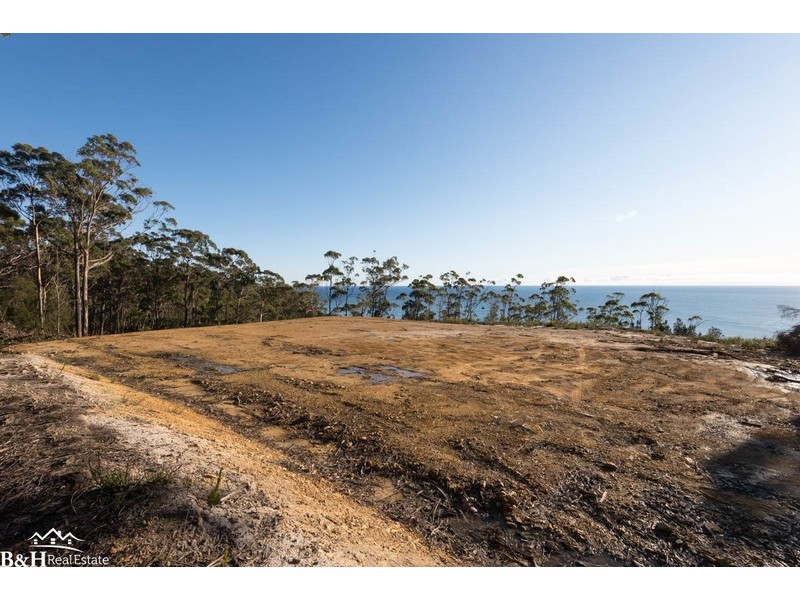 Chasm Creek TAS 7321