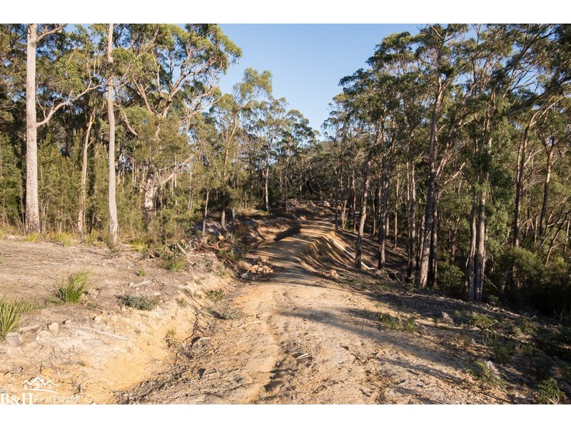 Chasm Creek TAS 7321