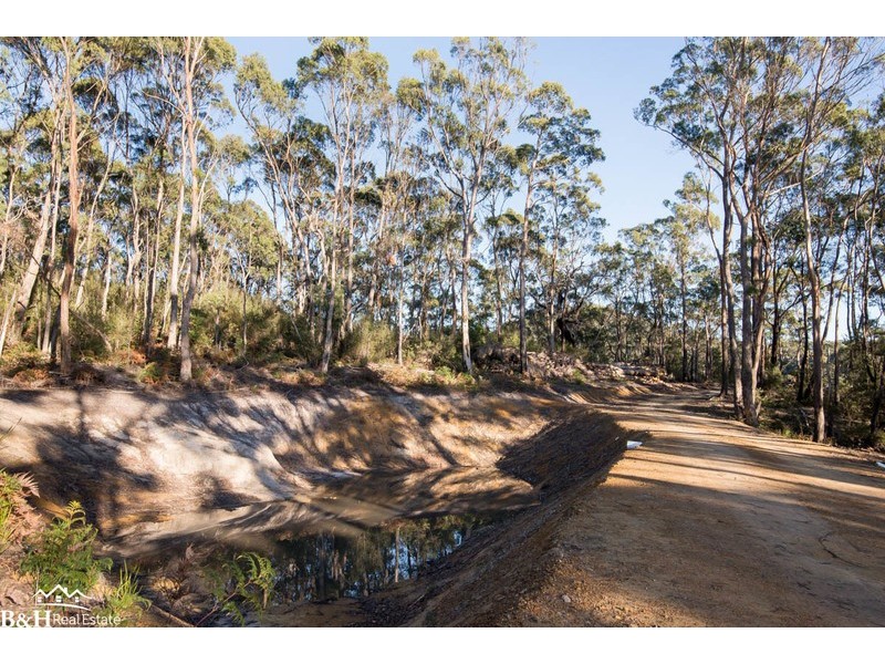 Chasm Creek TAS 7321