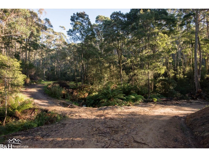 Chasm Creek TAS 7321