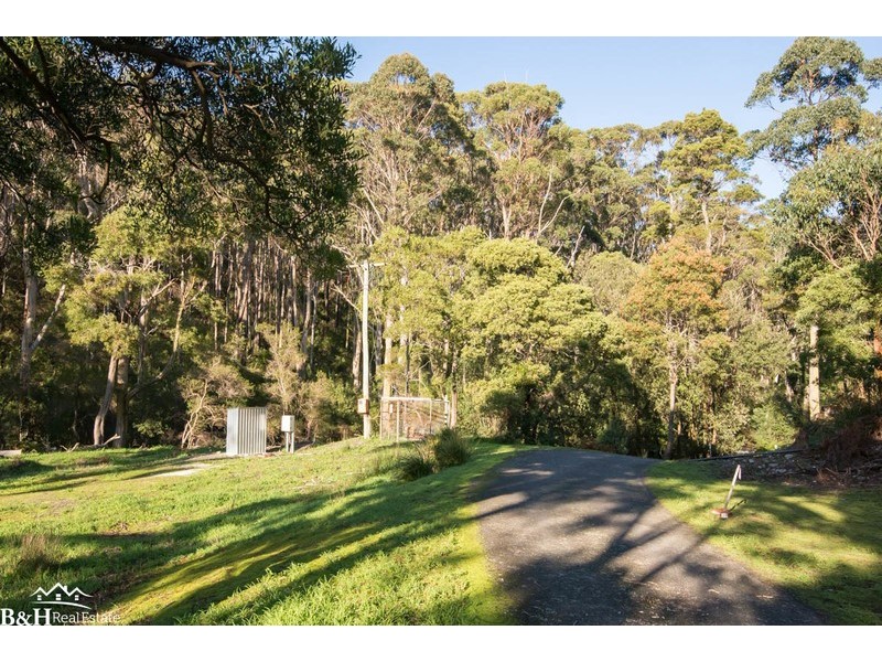 Chasm Creek TAS 7321