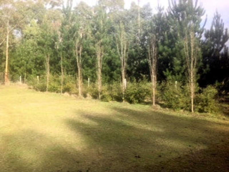 Lower Beulah TAS 7306