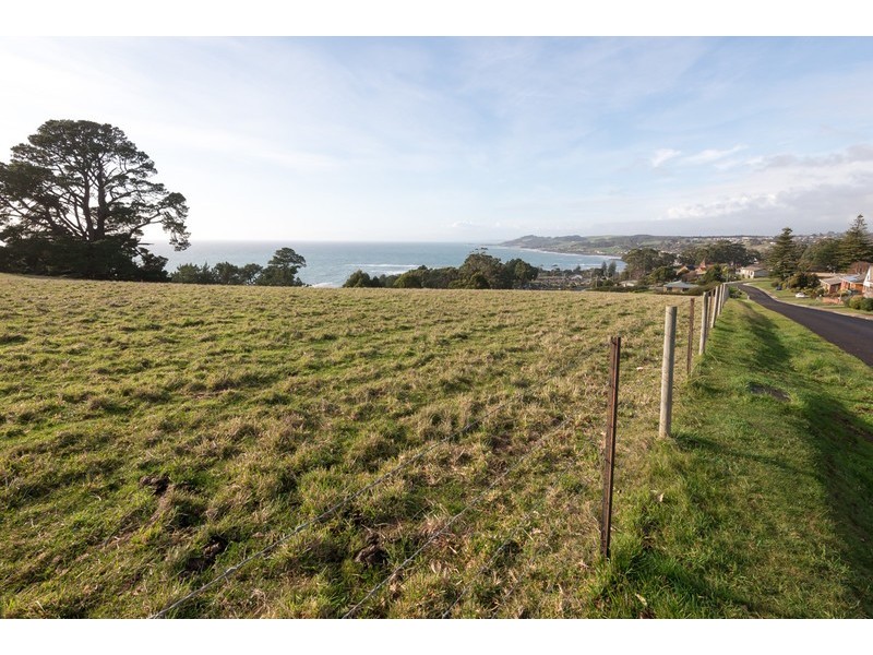 38 West Ridge Road, Penguin TAS 7316