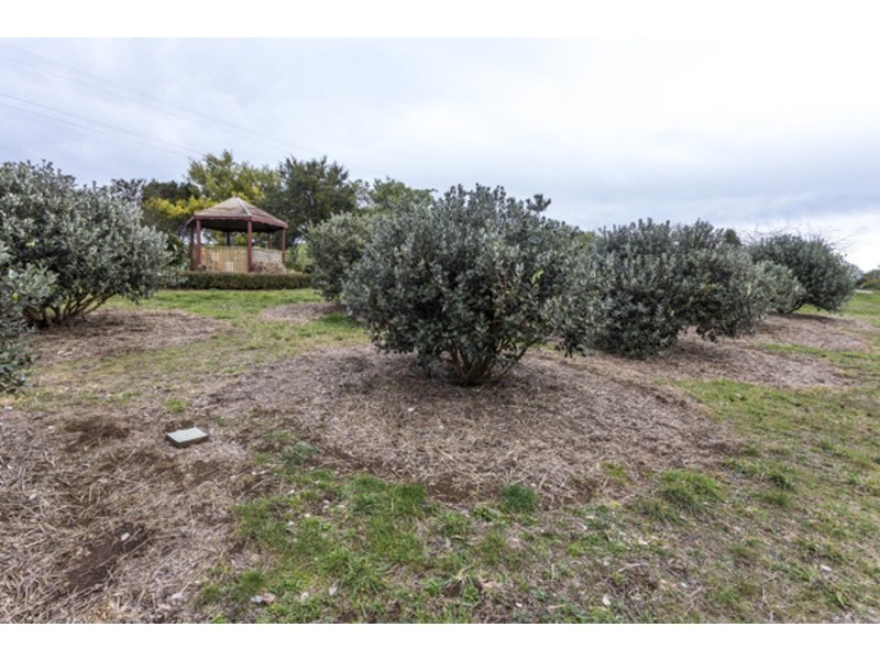 24 Swamp Road, Kindred TAS 7310