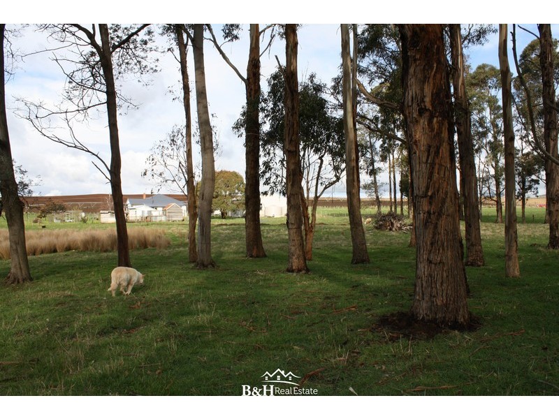 279 Oppenheims Road, Moriarty TAS 7307