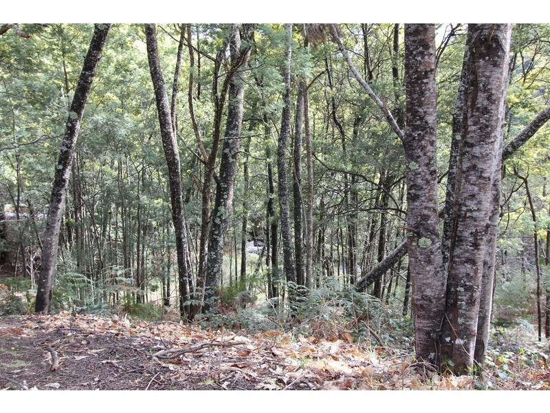 5 Greta Road, Upper Natone TAS 7321