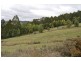 19 Nowlan Close, Lower Barrington TAS 7306