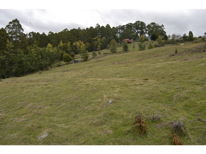 19 Nowlan Close, Lower Barrington TAS 7306