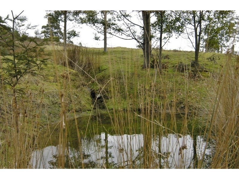 19 Nowlan Close, Lower Barrington TAS 7306