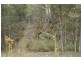 19 Nowlan Close, Lower Barrington TAS 7306