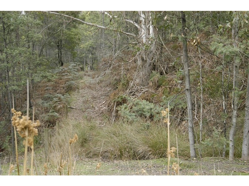 19 Nowlan Close, Lower Barrington TAS 7306