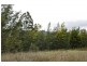 19 Nowlan Close, Lower Barrington TAS 7306