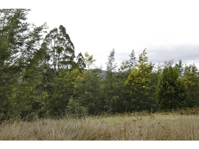 19 Nowlan Close, Lower Barrington TAS 7306