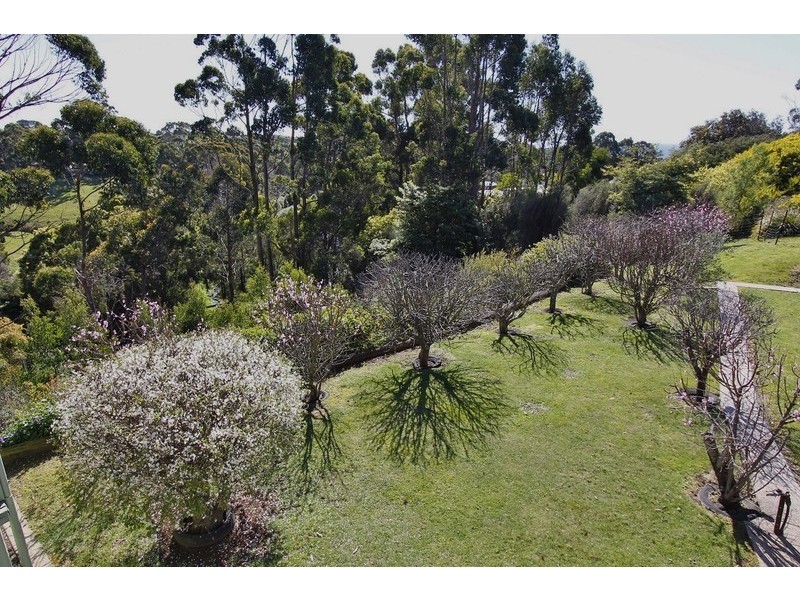 59 Deviation Road, Penguin TAS 7316