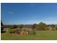 691 Ridgley Highway, Ridgley TAS 7321