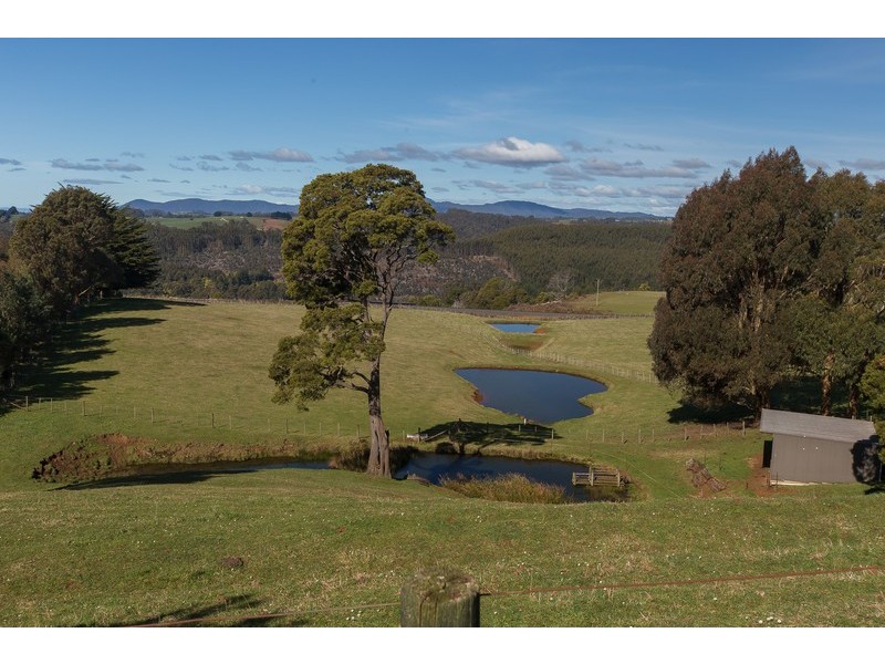 691 Ridgley Highway, Ridgley TAS 7321