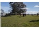 691 Ridgley Highway, Ridgley TAS 7321