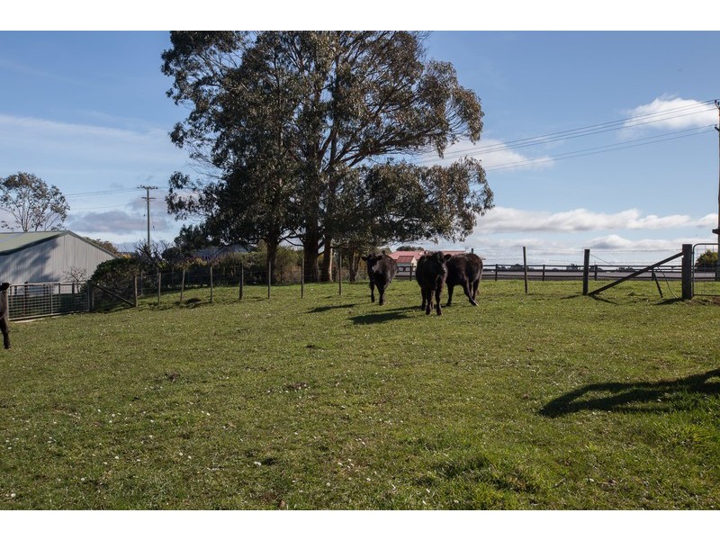 691 Ridgley Highway, Ridgley TAS 7321