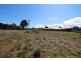 914 Ridgley Highway, Ridgley TAS 7321
