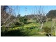 1910 Murchison Highway, Henrietta TAS 7325