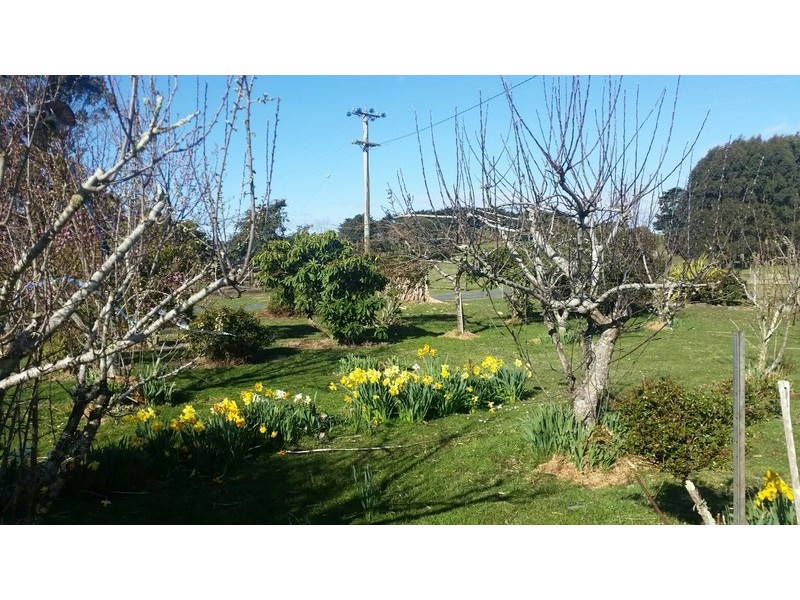 1910 Murchison Highway, Henrietta TAS 7325