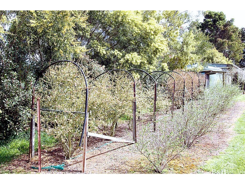 69 Station Road, Myalla TAS 7325
