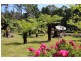 15 Jones Street, Strahan TAS 7468