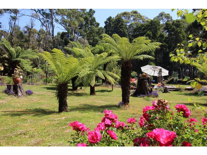 15 Jones Street, Strahan TAS 7468