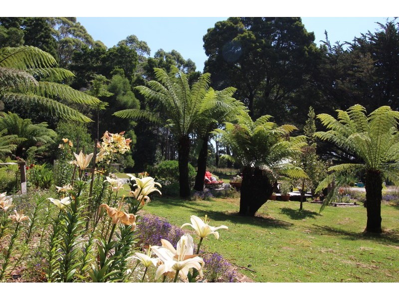 15 Jones Street, Strahan TAS 7468