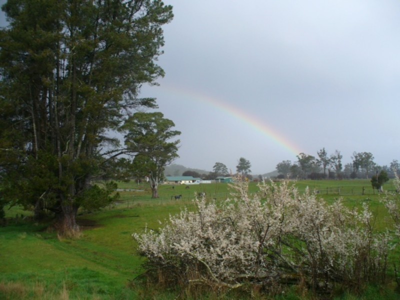 142 Main Street, Sheffield TAS 7306
