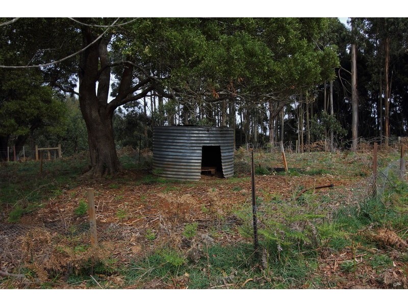 80 Penima Road, Ridgley TAS 7321