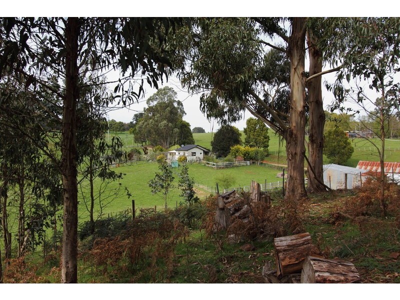 80 Penima Road, Ridgley TAS 7321