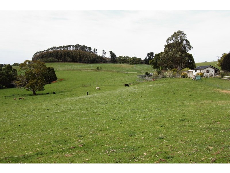 80 Penima Road, Ridgley TAS 7321