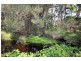 18 Andrew Street, Strahan TAS 7468