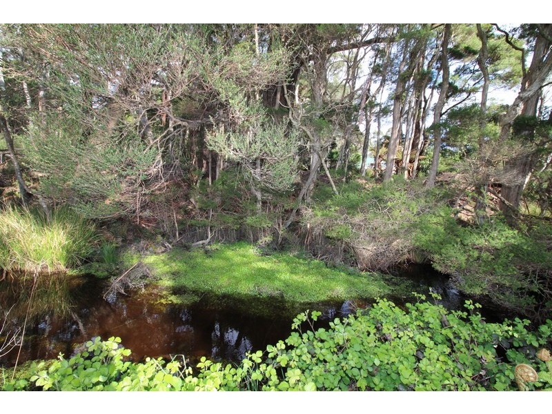 18 Andrew Street, Strahan TAS 7468