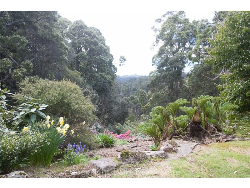 53 Locketts Road, Oldina TAS 7325