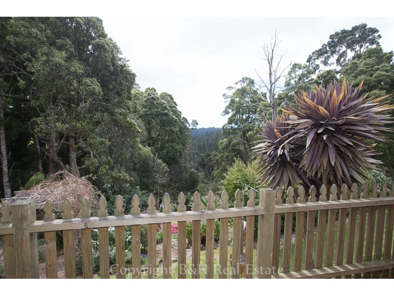 53 Locketts Road, Oldina TAS 7325