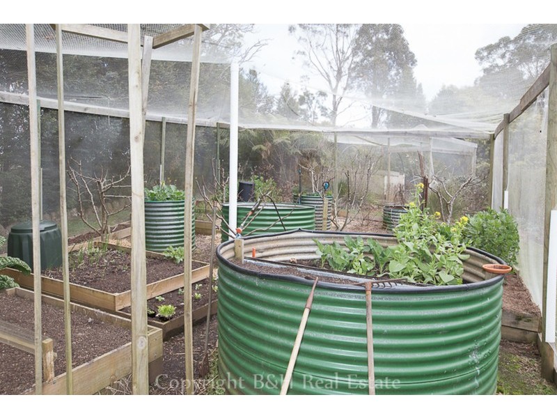 53 Locketts Road, Oldina TAS 7325