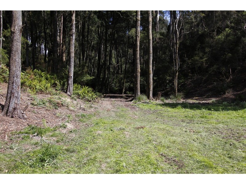 Lot 4, 238 Reservoir Drive, Wynyard TAS 7325