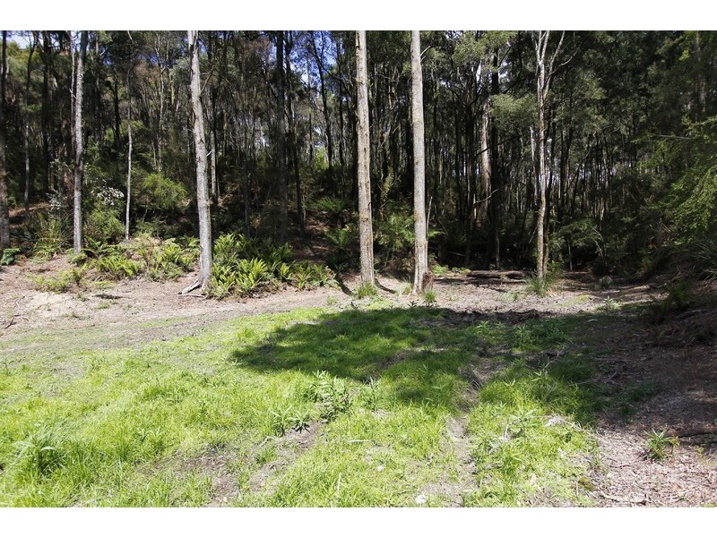 Lot 4, 238 Reservoir Drive, Wynyard TAS 7325