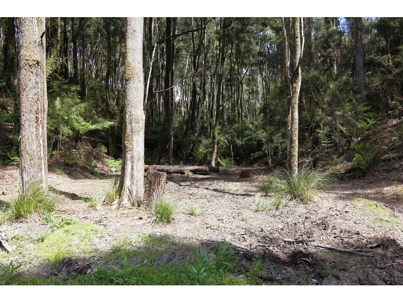 Lot 4, 238 Reservoir Drive, Wynyard TAS 7325
