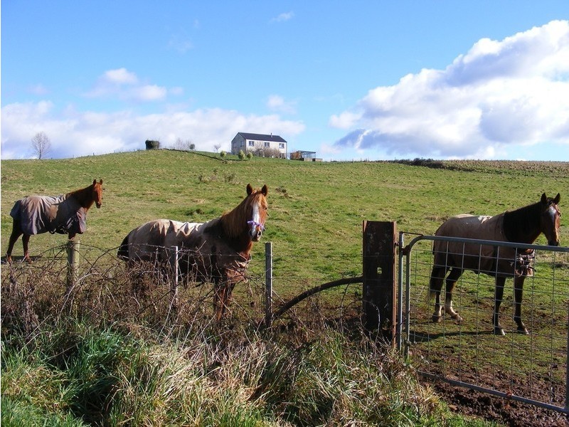 276 Back Road, Lower Wilmot TAS 7310