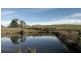276 Back Road, Lower Wilmot TAS 7310