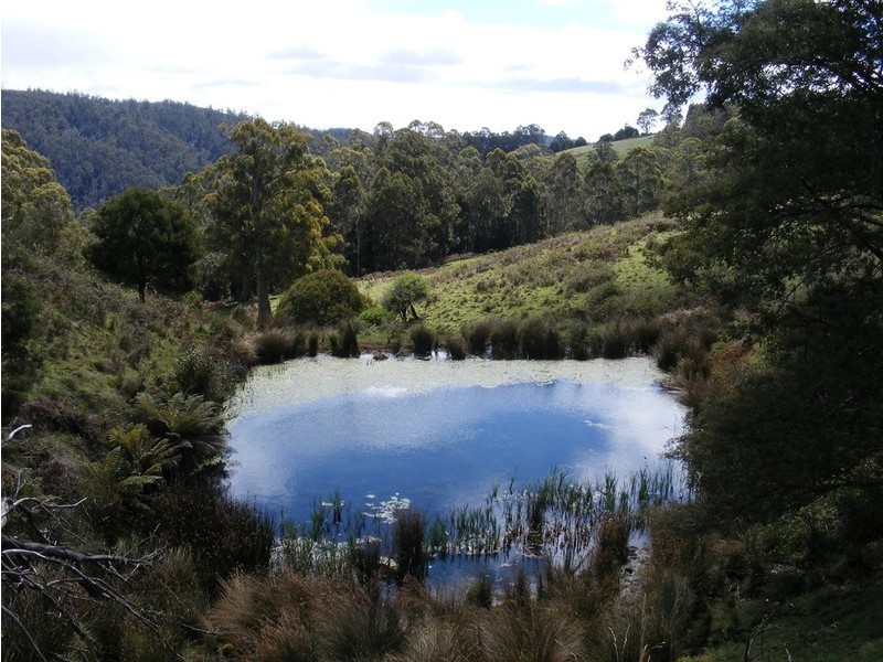 276 Back Road, Lower Wilmot TAS 7310